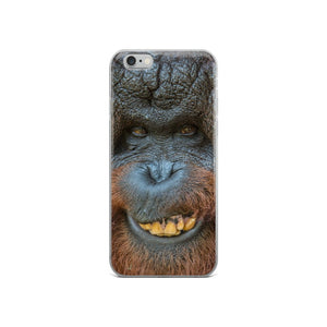 Cover per iPhone - Orangutan felicione - Overland Shop