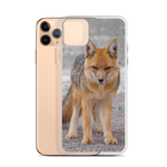 Cover per iPhone - Volpe Andina