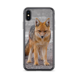 Cover per iPhone - Volpe Andina
