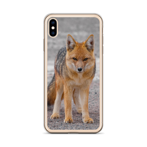 Cover per iPhone - Volpe Andina