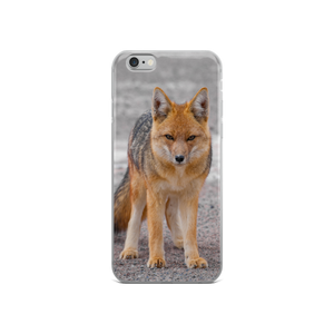 Cover per iPhone - Volpe Andina